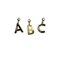 Partial Crystal Letter Charm