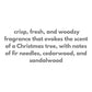 "Red Ski" 10oz Christmas Candle