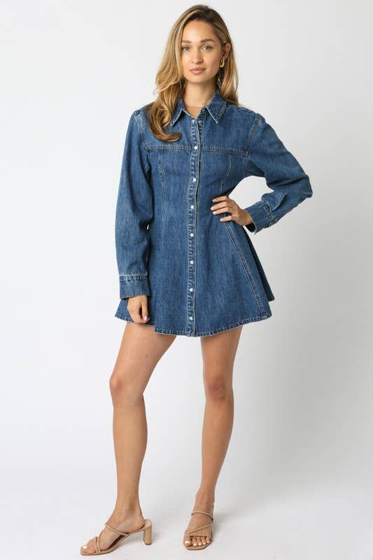 Angelina Denim Button Dress